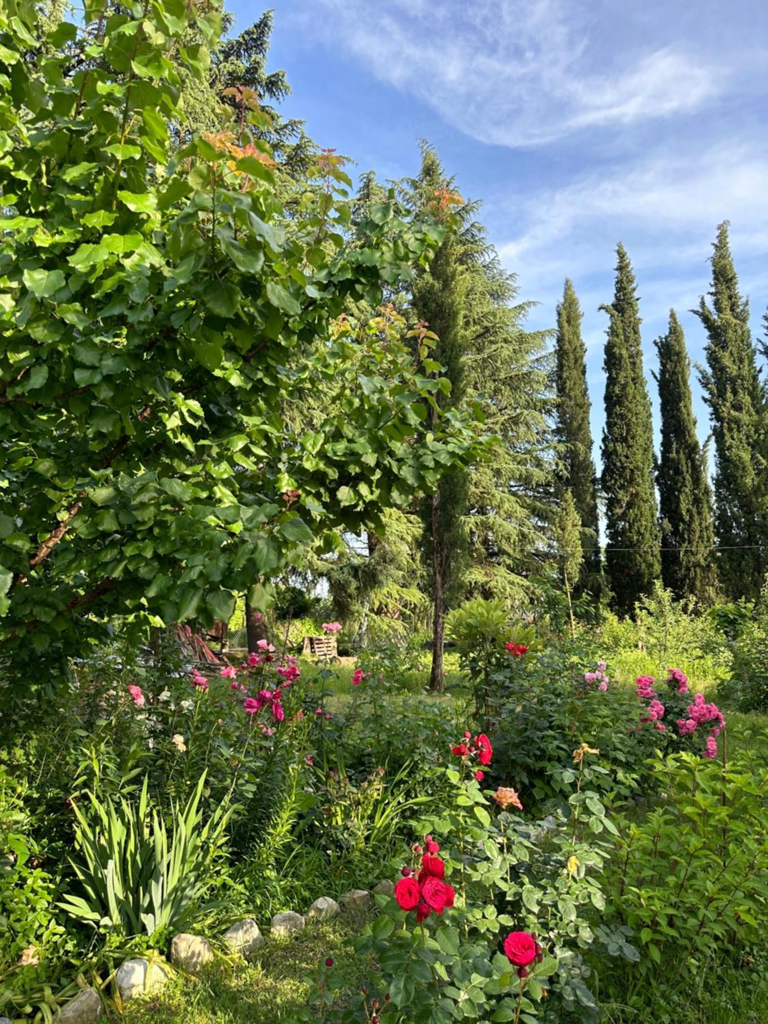 Orenda Telavi Bagian luar foto